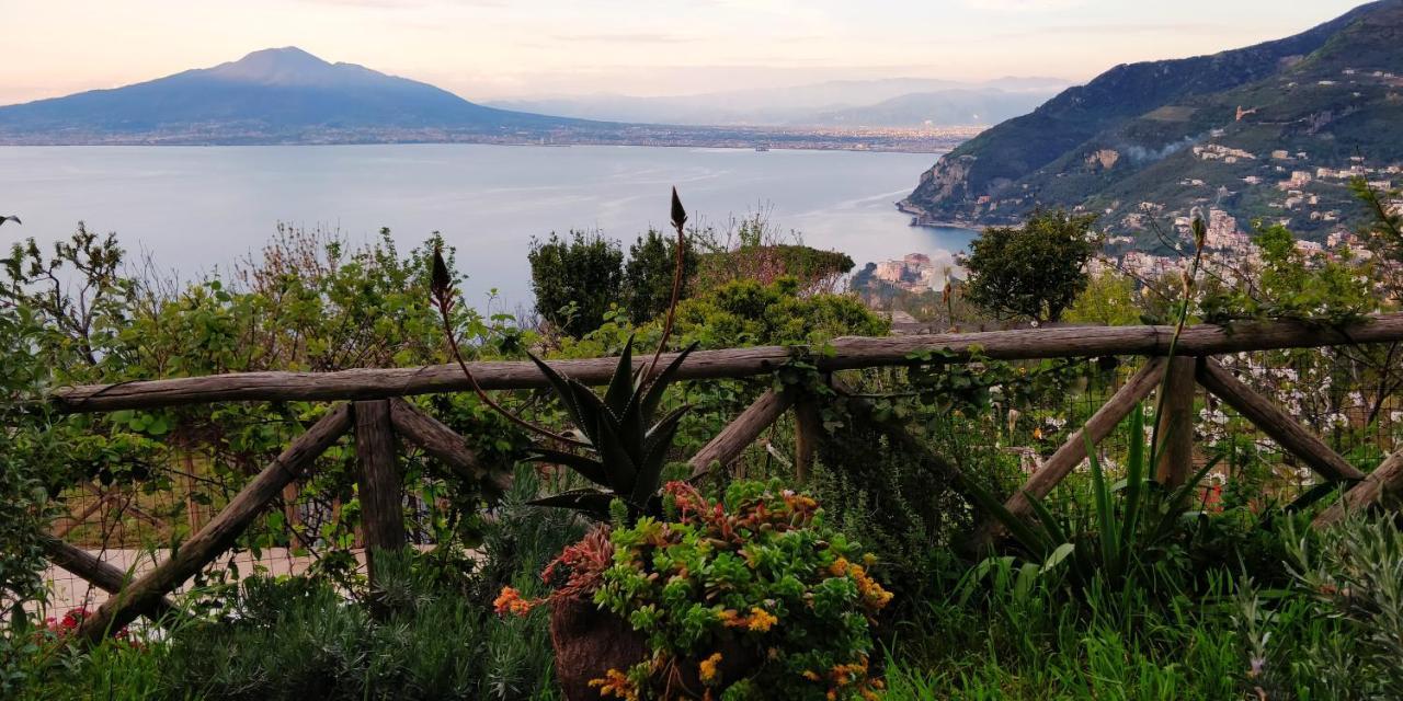 Bed and Breakfast Giardino 21 Marzo à Vico Equense Extérieur photo