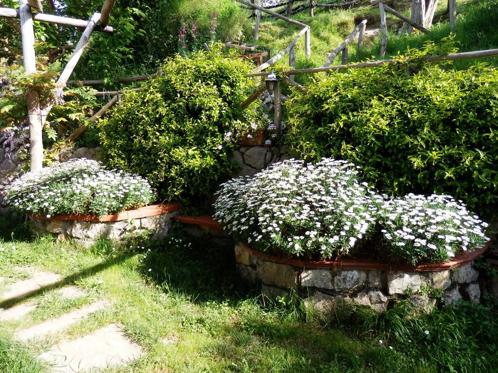 Bed and Breakfast Giardino 21 Marzo à Vico Equense Extérieur photo