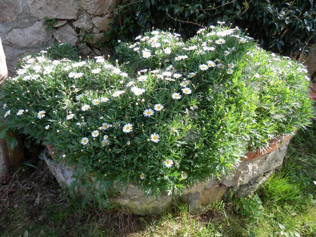 Bed and Breakfast Giardino 21 Marzo à Vico Equense Extérieur photo